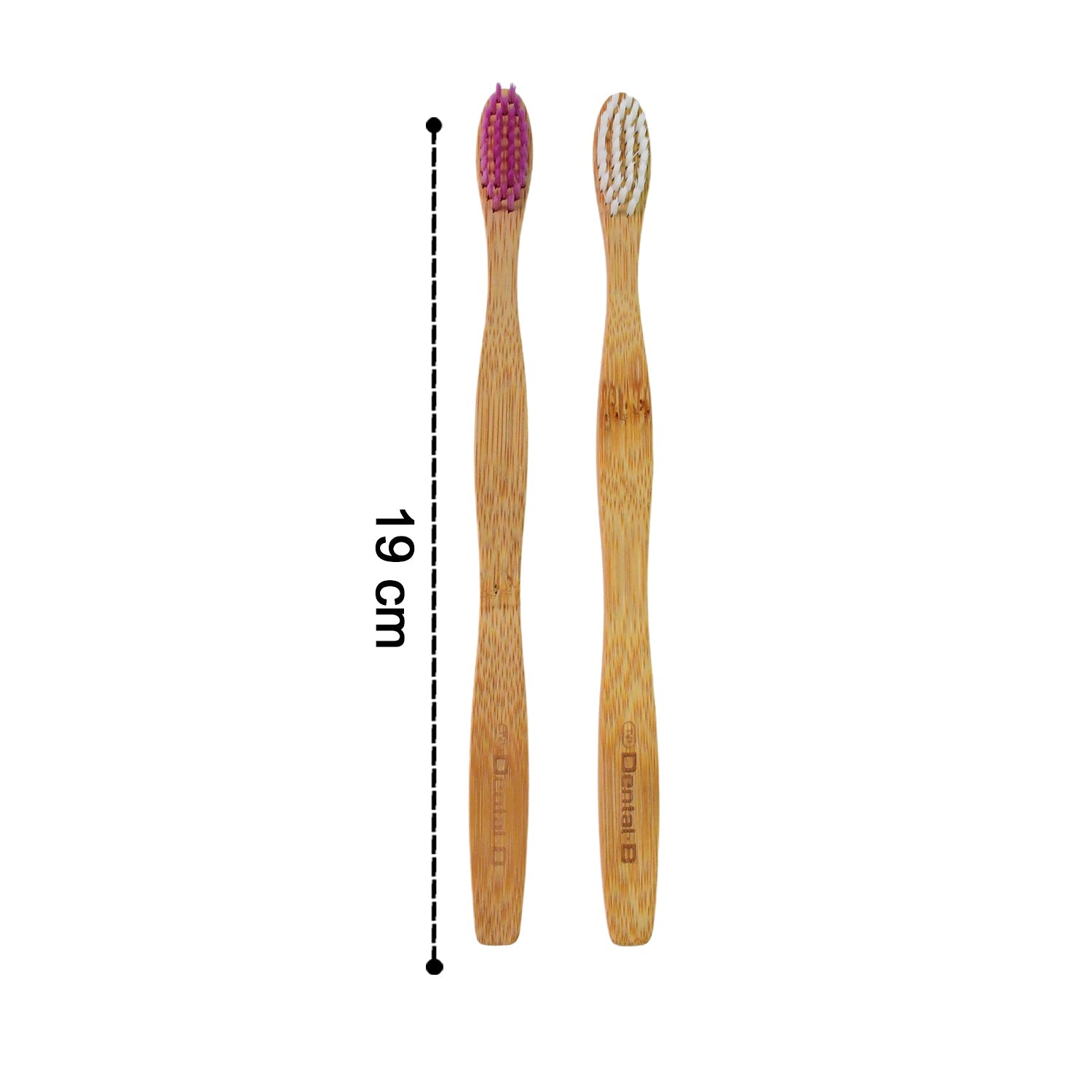 https://cdn.shopify.com/s/files/1/0782/3284/6646/files/Toothbrush-06.jpg?v=1761747322